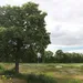 rosmalen
