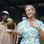 Earl and Countess of Wessex visit to the Caribbean