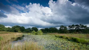 Wat wordt de beste wandelgemeente van 2021? 