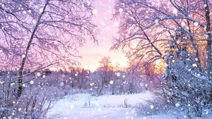 beautiful winter landscape with forest, trees and sunrise. 