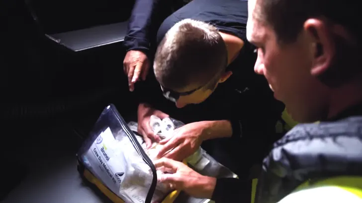 Blessure Team Brunel