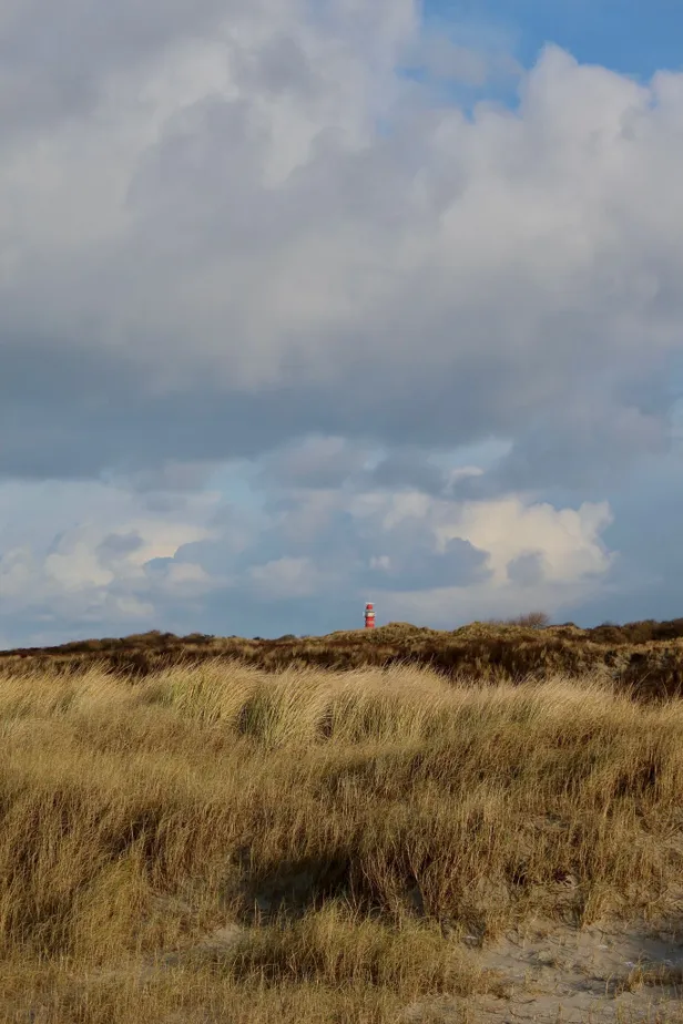 Spot jij de vuurtoren in de verte? 