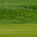 Spaun de beste na dag 1 op beestachtig Oakmont
