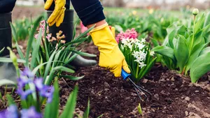 Voorjaarsklussen in de tuin