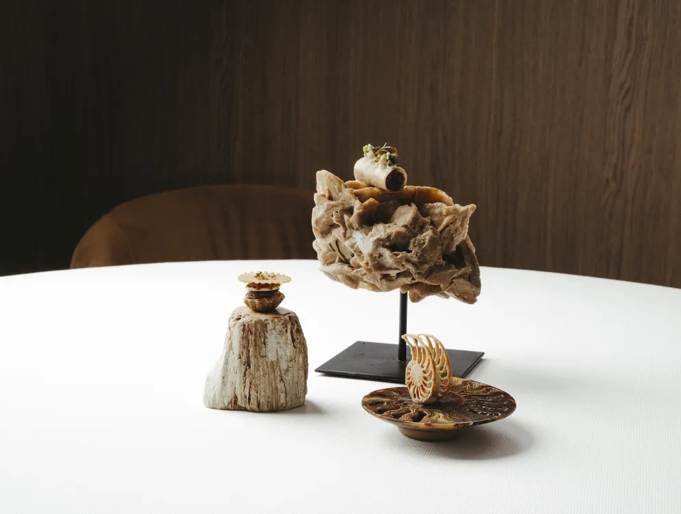 Foto 2 van Wild Atelier