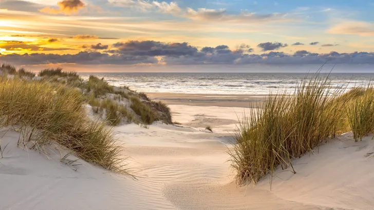 View from dune top over North Sea