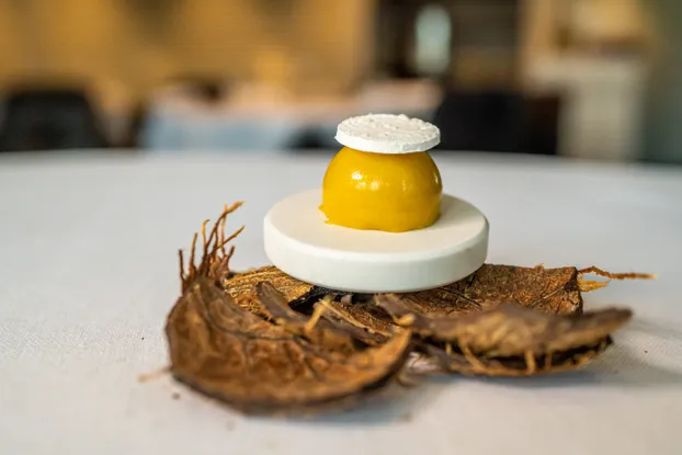 Pittige taartjes met witte chocolade en curry