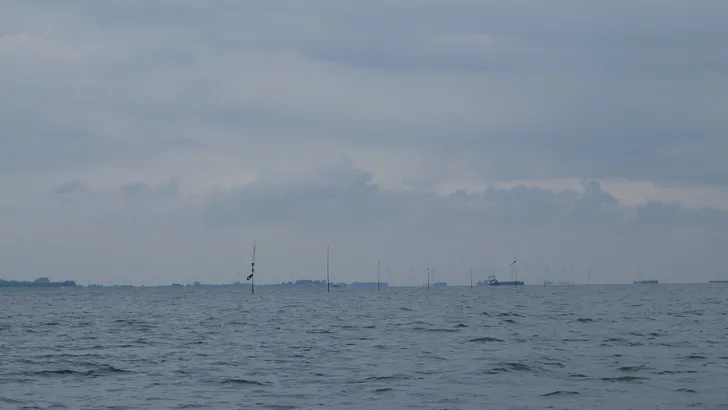 Staken op de Oosterschelde Foto: Casper Chaudron