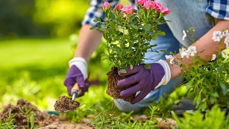 Werken in de tuin