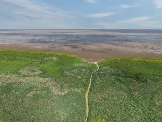 Het Waddengebied op een steenworp afstand