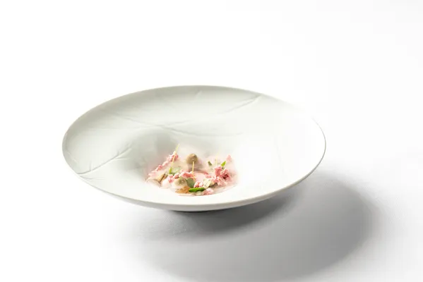 the white room