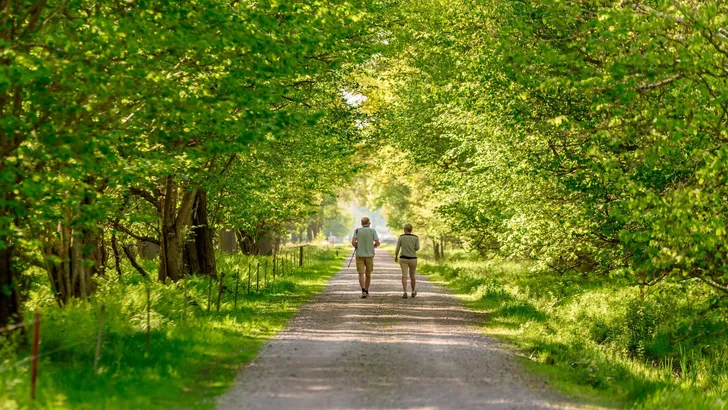 Senior couple in nature