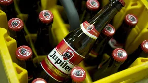 jupiler belgium wk