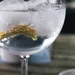 Dit zegt jouw gin-tonicverslaving over jouw persoonlijkheid