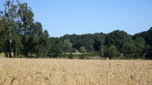 Lifestylewandelen in Twente: drie routes, één lekker hotel