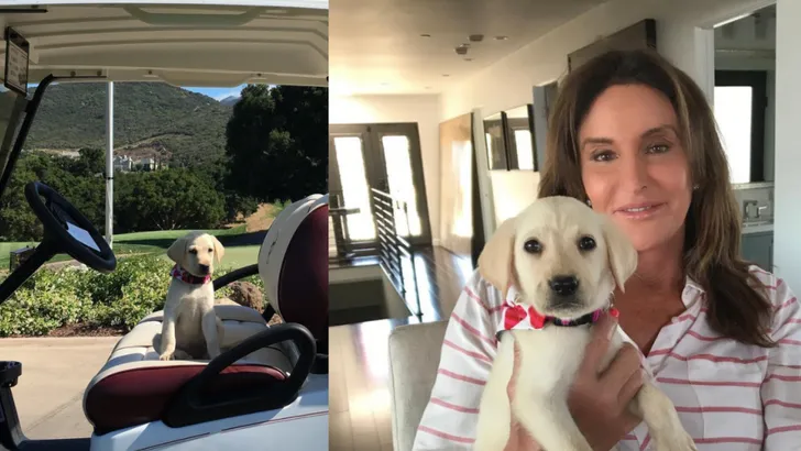 Caitlyn Jenner's schattige puppy vermaakt zich op golfbaan