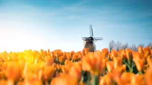 Vastgoed