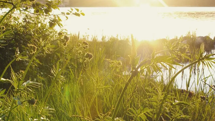 Hoe vier jij midzomer 2022?