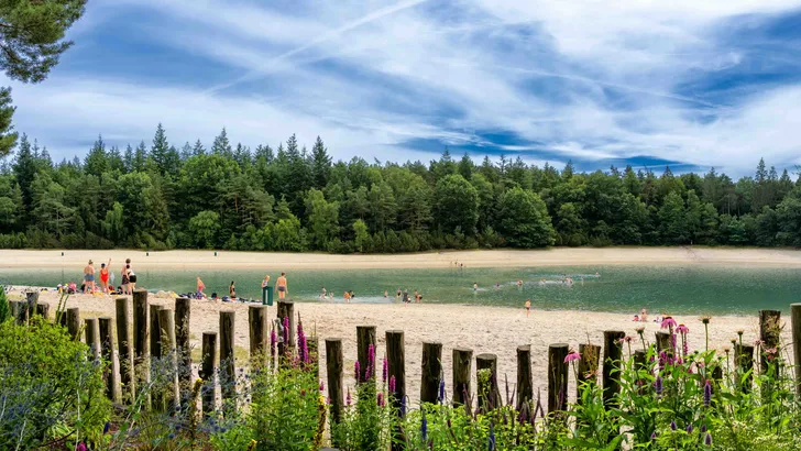 Zwemplekken in Drenthe, Friesland en Groningen