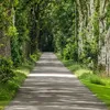 Fietsen door de veenhistorie van Drenthe: ontdek de Echtenerroute | Noorderland