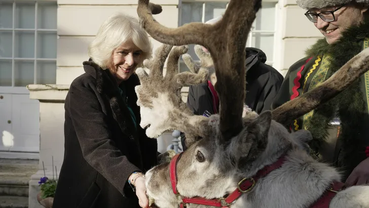 Koninklijke feestdagen: Camilla met kerst