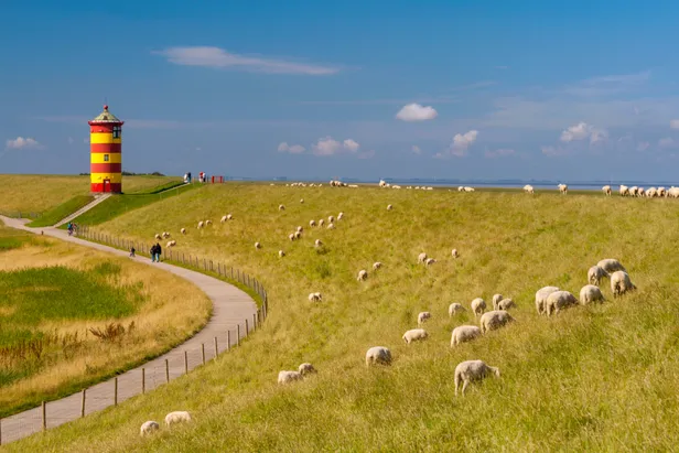 De vuurtoren van Pilsum