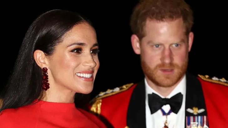 Harry drijvende kracht achter Sussexit - bsr Agency