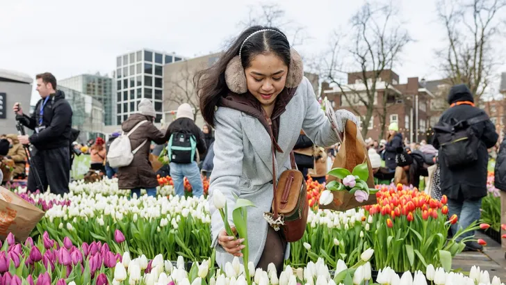 nationale tulpendag