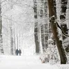 Mis het niet: dit zijn de 3 mooiste korte winterwandelingen om van de sneeuw te genieten | Noorderland