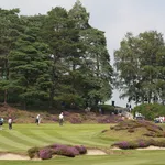 Sunningdale Lafeber