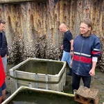 Werken aan het herstel van de oceaan 