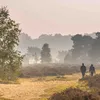 Dit zijn de mooiste langeafstandsroutes in Noord-Nederland | Noorderland