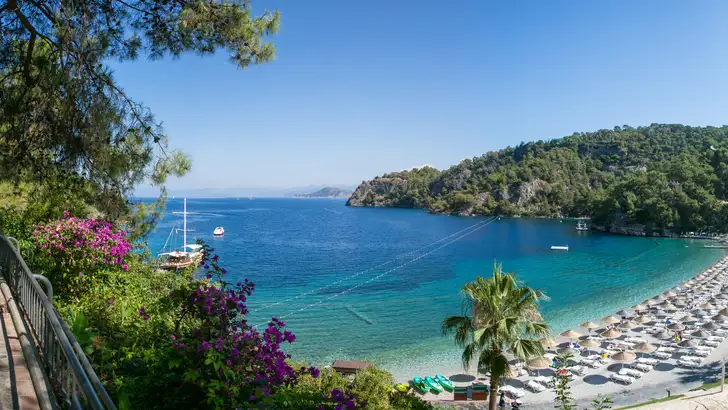 Healthy Happy Hillside