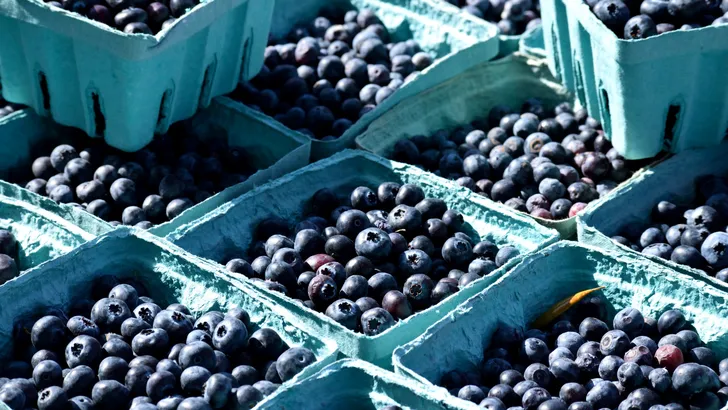 Gooi je geld niet weg: met dit klusje van 5 minuten blijven blauwe bessen wekenlang vers