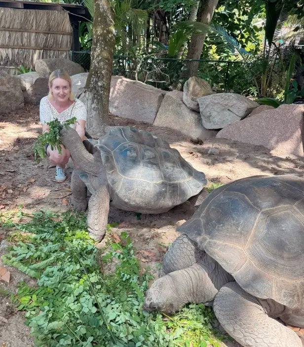 Jill voert landschildpadden Donatello en Michelangela 