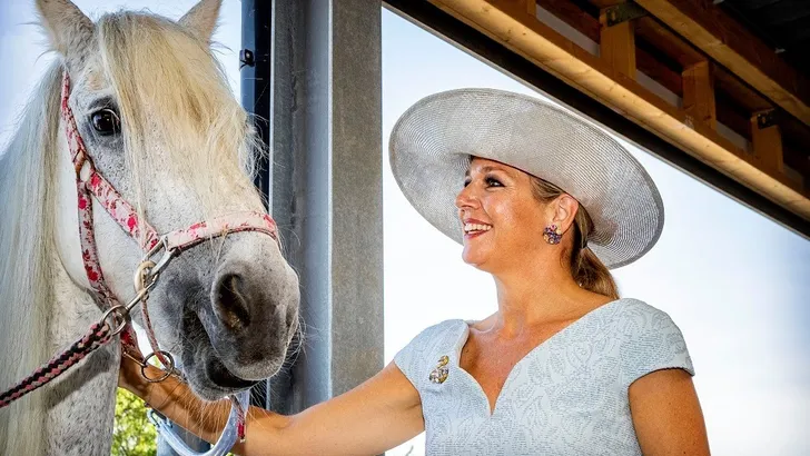 Oranjes: geld, gas en heel veel paarden