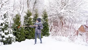 Sneeuw in de tuin