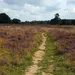 Wandelroutes