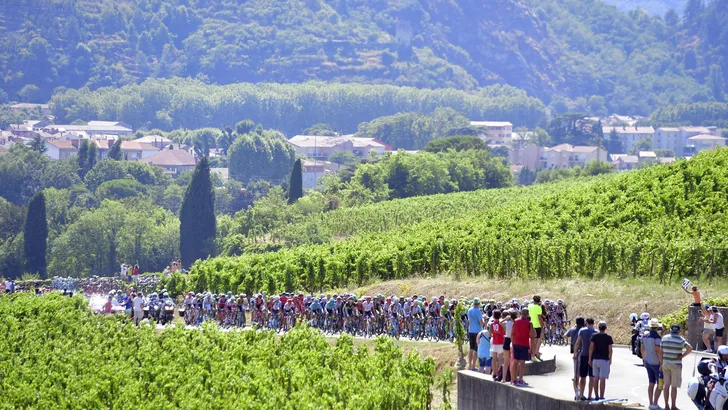Tour de France: Matthews' etappewinst in tien foto's