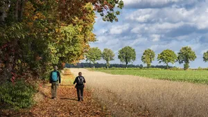 Korte wandelroutes