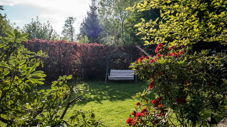 Tuin