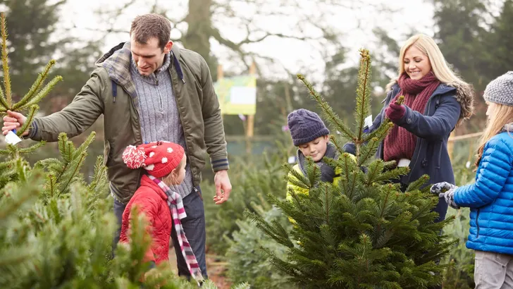 Outdoor Family Choosing Christmas Tree Together