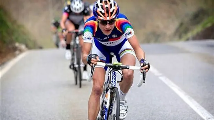 Vos niet in Ronde van Vlaanderen