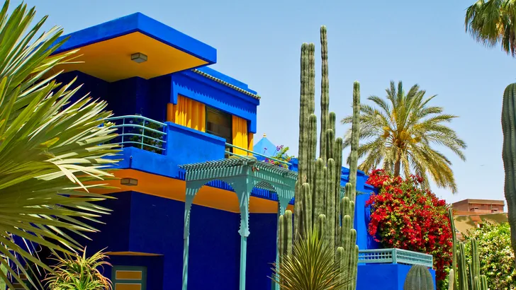 Foto van Majorelletuin Marrakech – Betaalbare uitstapjes in Marrakech.
