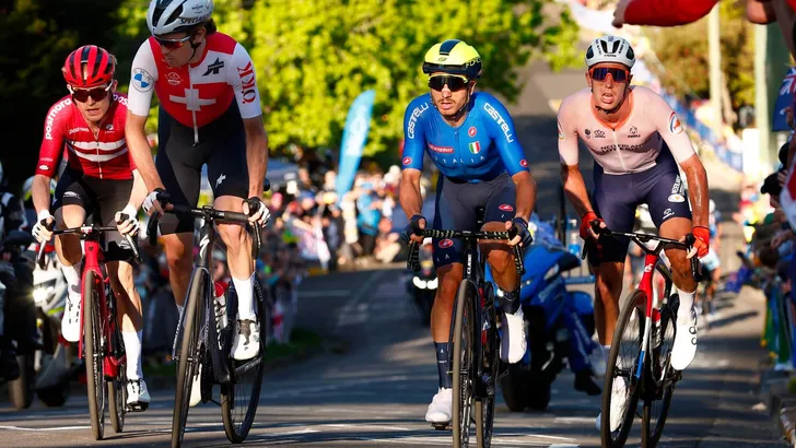 World Championships elite men - Road - 2022