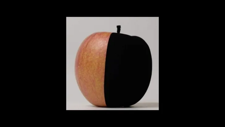 WTH? Musou Black absorbeert 99,6% van al het licht 