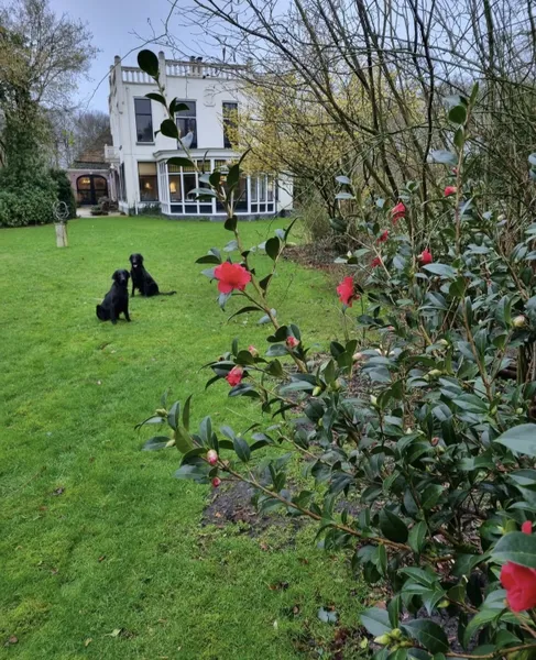 Foto 2 van De Jufferen Lunsingh