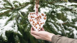 Een vetbol in de vorm van een kerstornament