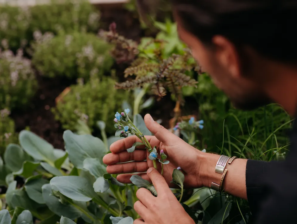 Foto 10 van Wild Atelier