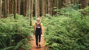 Waarom een wandeling zonder afleiding je brein herstelt